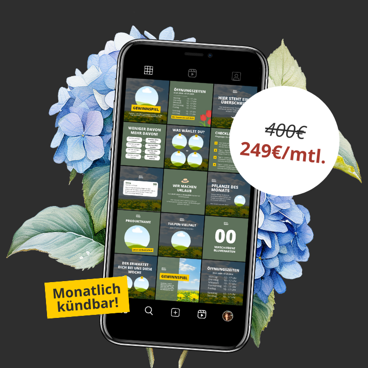 Social Media Betreuung für 249€