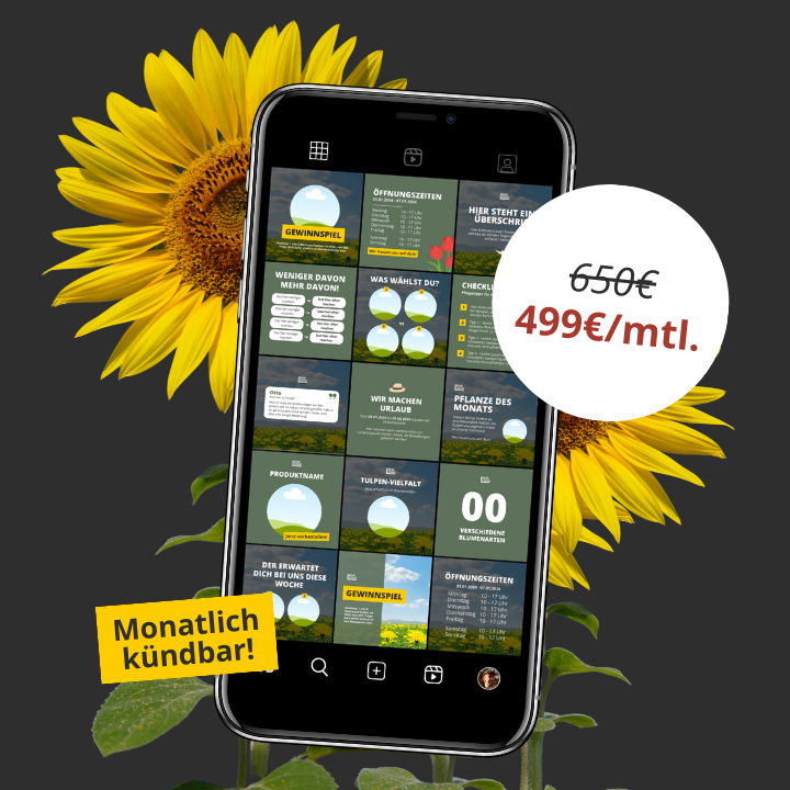 Social Media Betreuung für 499€
